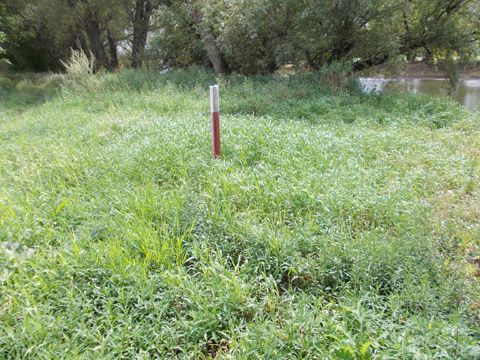 Foto 59